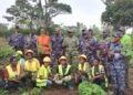 Plateaux-Est : 350 plants mis en terre pour renforcer le couvert végétal