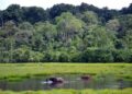 Togo : 80 aires protégées couvrent environ 14% du territoire