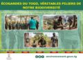 Écogardes : ces gardiens de l’ombre qui protègent la biodiversité du Togo