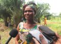 Agriculture durable au Togo : WEMA accompagne les productrices de Tanou et Atsou-Kondji vers le bio